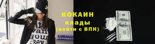 мяу мяу мука Абаза